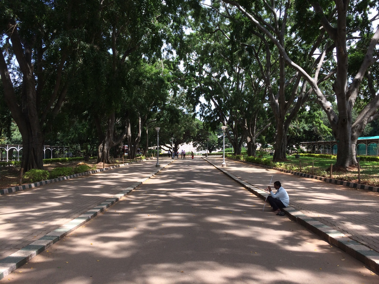 Bangalore, Lal Bagh, alley