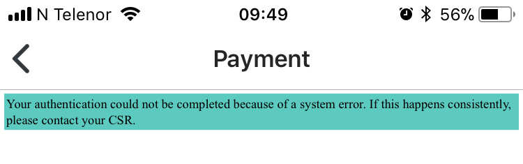 Online payment fail