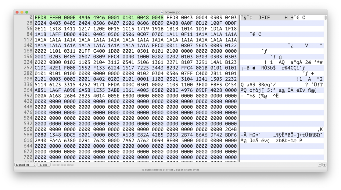 JPG file opened in Hex Fiend